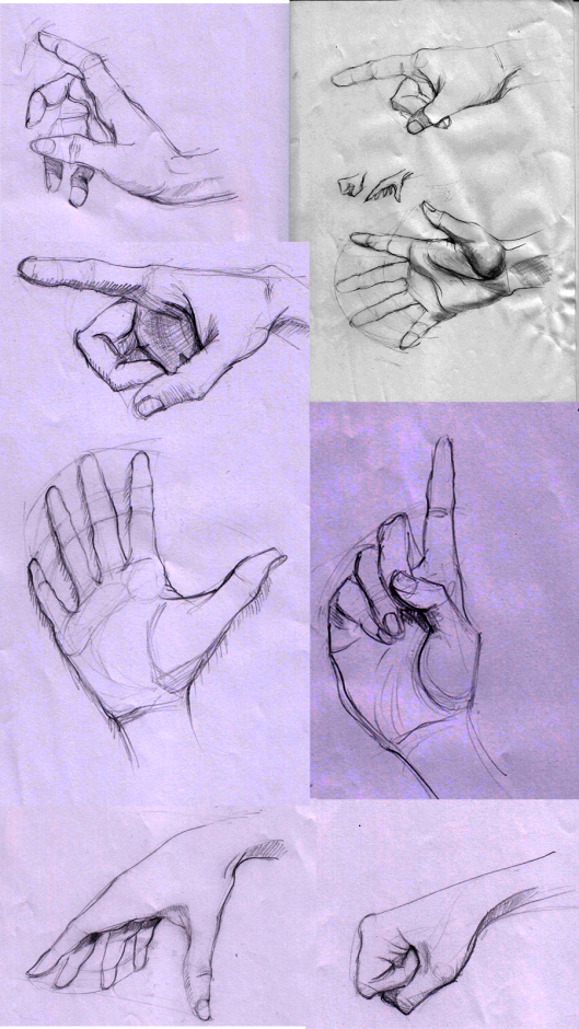 studies hands